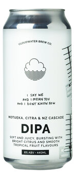 Cloudwater I Say We And I Mean You And I Don&#039;t Know How
