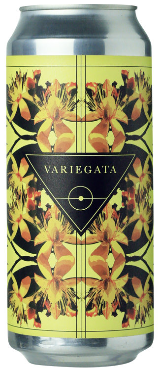 Variegata Variegata