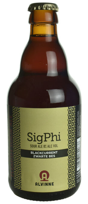 Alvinne Alvinne SigPhi Blackcurrant  Zwarte Bes - BierBazaar