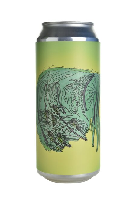 DDH Grassman (Citra & Nelson) DDH Grassman (Citra & Nelson)